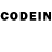 COCAIN FishScale Kadyr Ramzanov