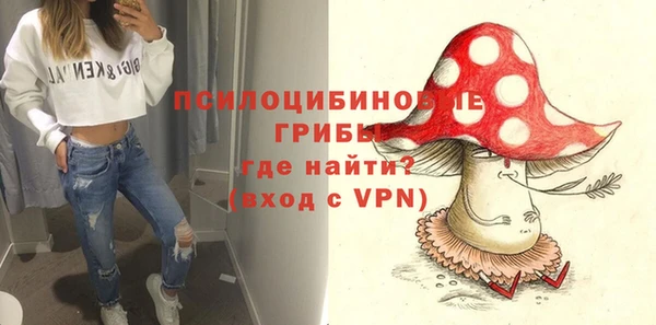 ALPHA PVP Верея